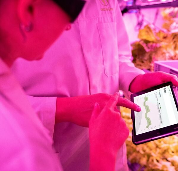 maximize growth with digital tools